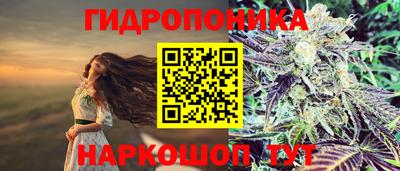 гашик Бузулук