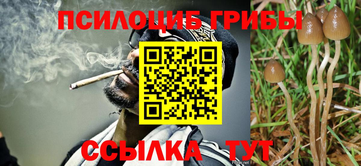 Галлюциногенные грибы Cubensis  Вход с VPN  что такое наркотик  Подольск 