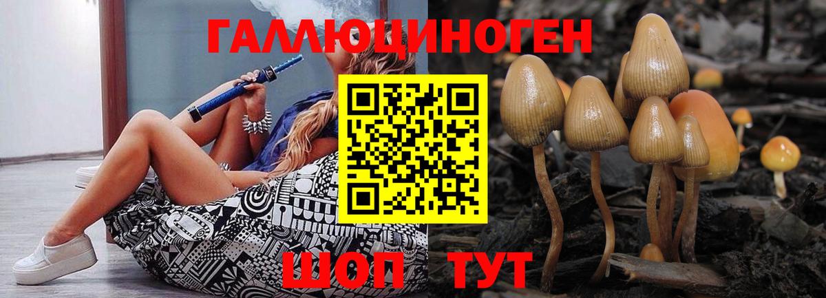 Псилоцибиновые грибы Magic Shrooms Подольск